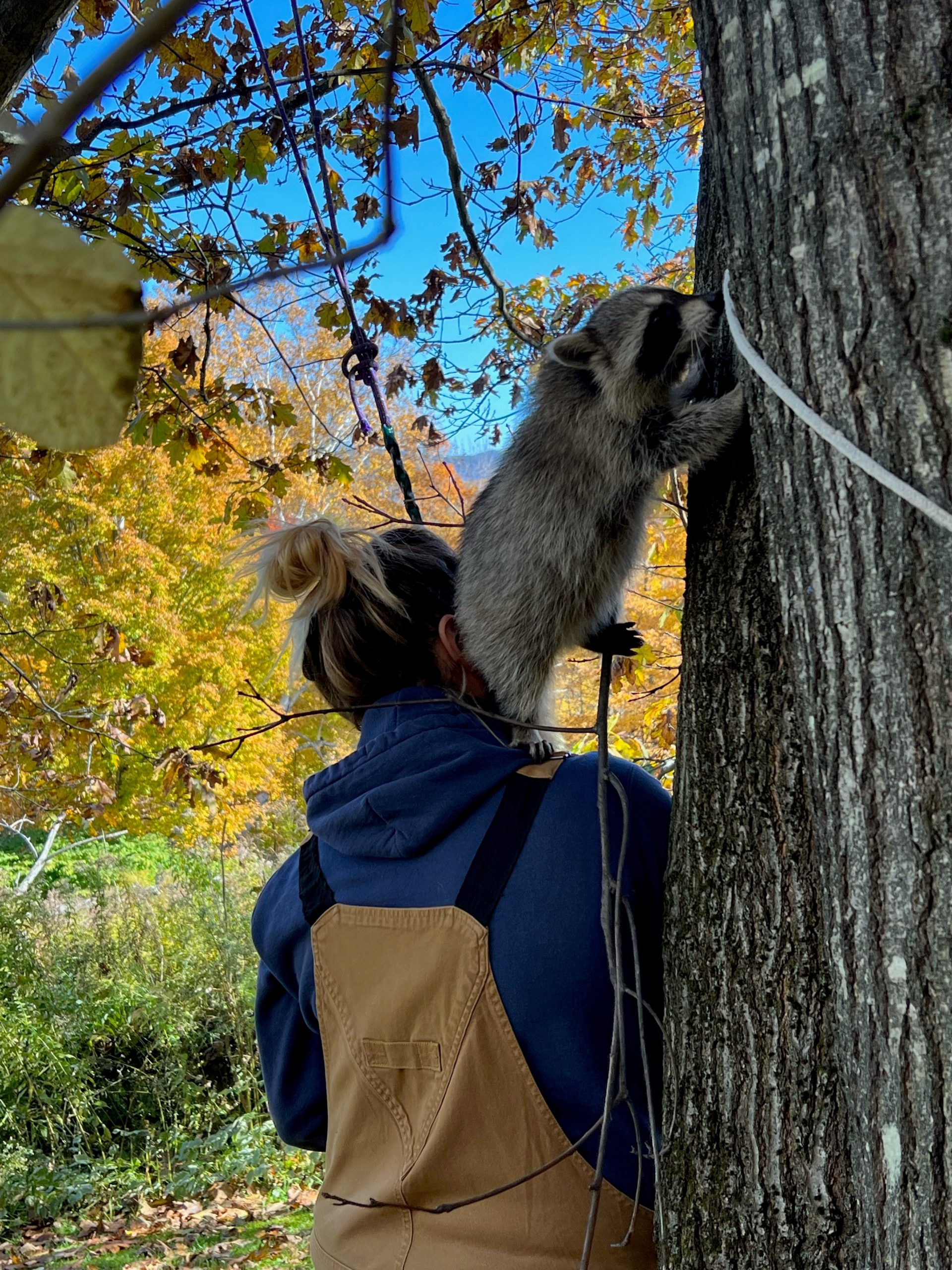 Woman stands next to a tree with a raccoon on her shoulder.