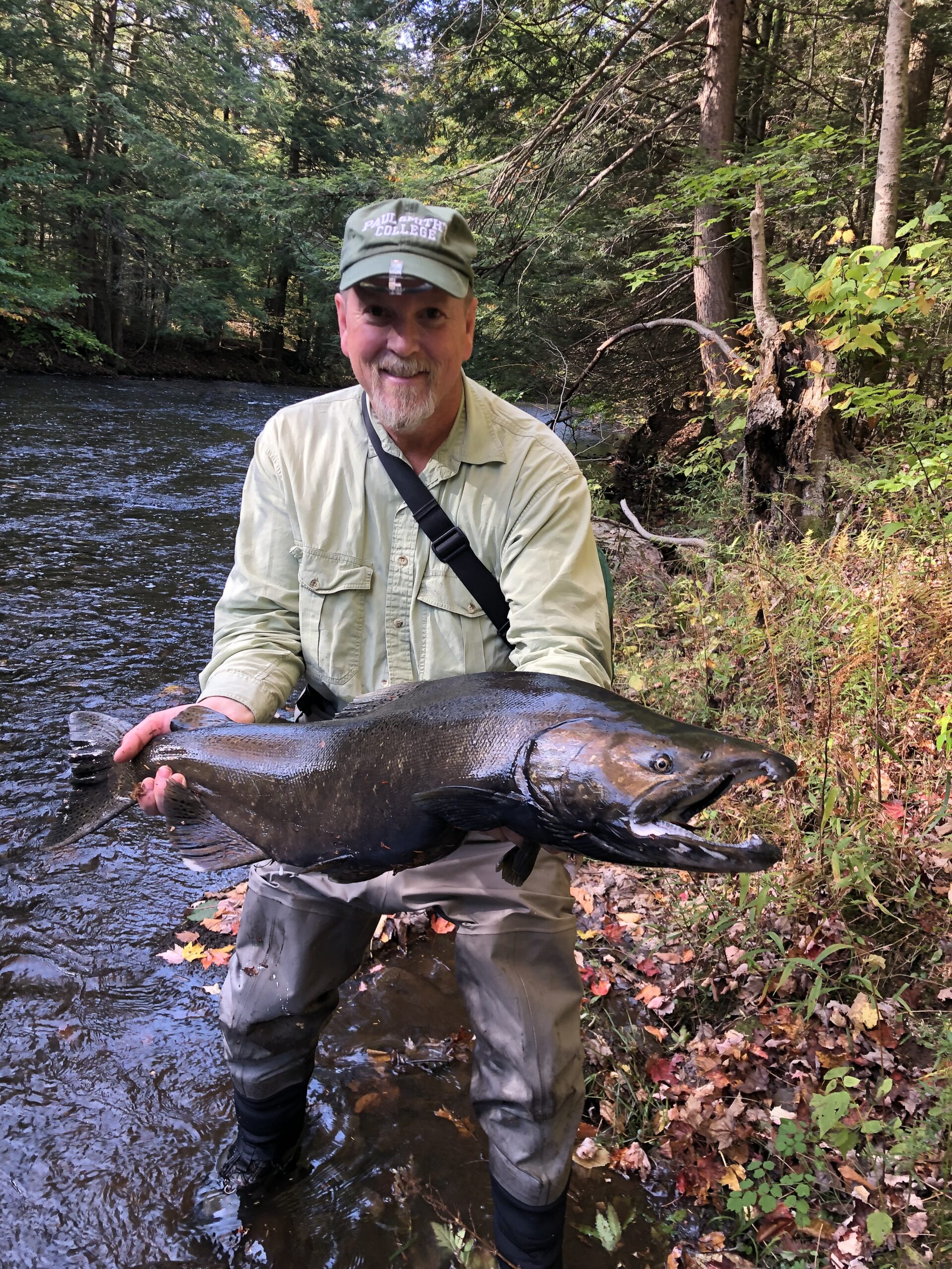 A man stands next to a creek holding a large fish.